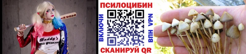 Галлюциногенные грибы GOLDEN TEACHER  Магадан 